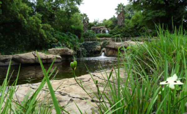 A 1-night couple's stay and spa package - Image 4
