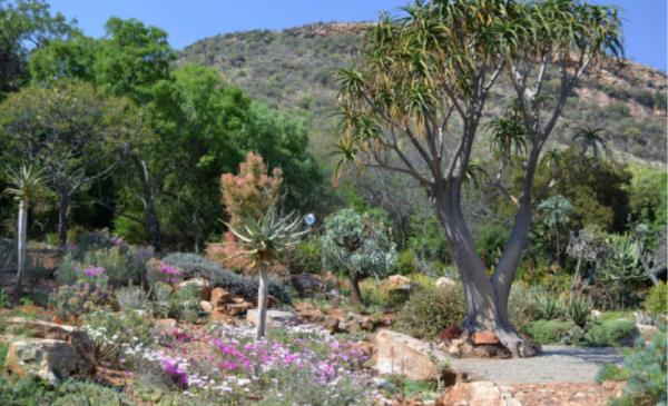 A 1-night couple's stay and spa package - Image 6