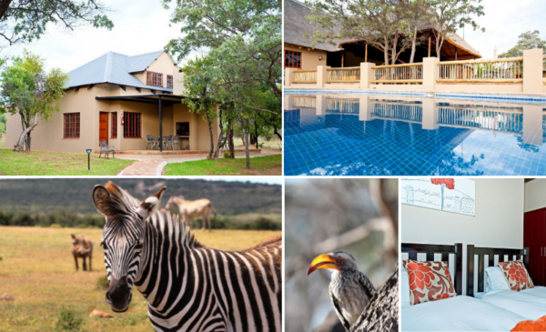 A bush holiday with your family in the Waterberg region