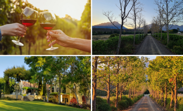 2 nights in the beautiful Tulbagh - Image 6