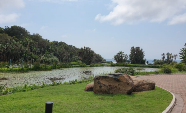 Enjoy a 1 night-stay in a self-catering Zimbali Suite for 4 on the Dolphin Coast - Image 4