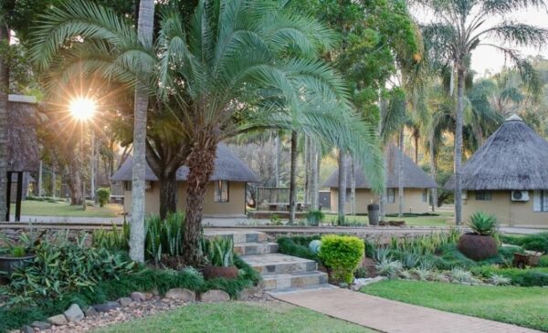 Spend 2 nights on the banks of the Sabie River - Image 3