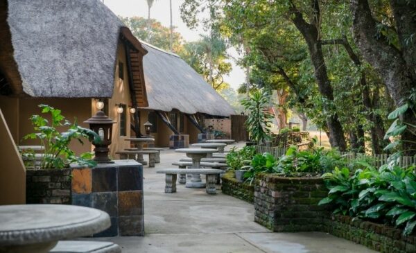 Spend 2 nights on the banks of the Sabie River - Image 8
