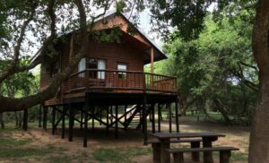 Treehouse Stay Hluhluwe