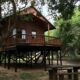 Treehouse Stay Hluhluwe