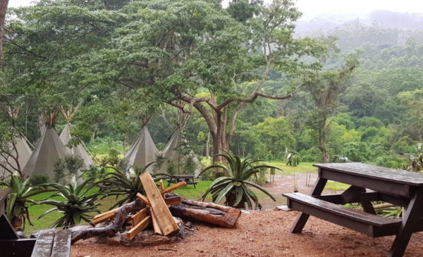 A Mid-Week TeePee Stay for 4 People in Pinetown - Image 3