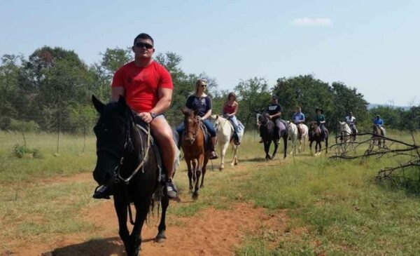 Horse Riding Adventure - horseback 1