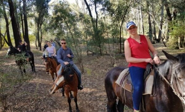 You and a loved one can admire Cullinan on horseback - Image 3