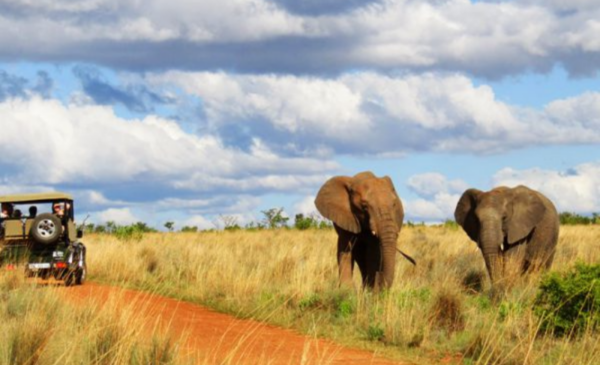 A DB&B stay in the heart of the Waterberg nature area - Image 2
