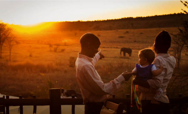 A DB&B stay in the heart of the Waterberg nature area - Image 8