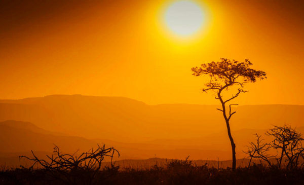 Be lodged in the heart of Mpumalanga with a DB&B stay - Image 8