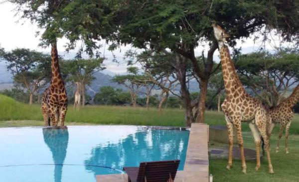 Be lodged in the heart of Mpumalanga with a DB&B stay - Image 6