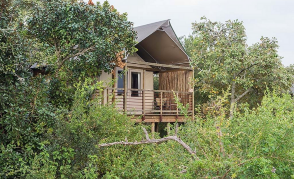 A 2-night DB&B stay among the best Lowveld attractions - Image 3