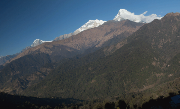 Experience the wonders of Nepal with a 12 Days Nepal Trek and Safari - Image 2