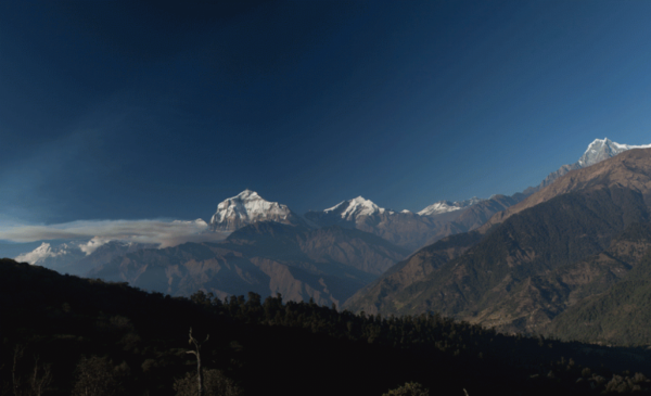 Experience the wonders of Nepal with a 12 Days Nepal Trek and Safari - Image 3