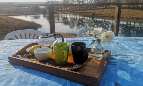 Detox with a family getaway in the Midlands Meander - Image 3