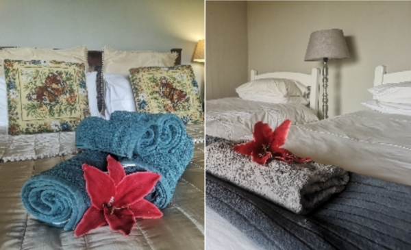 Detox with a family getaway in the Midlands Meander - Image 4