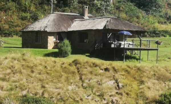 Detox with a family getaway in the Midlands Meander - Image 6