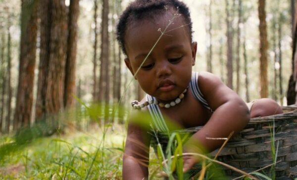 A 30 minute forest-themed photoshoot for up to 5 people - Image 3