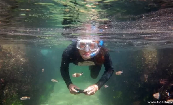Explore the ocean with a 2 hour Discover Snorkel Safari for 2 people