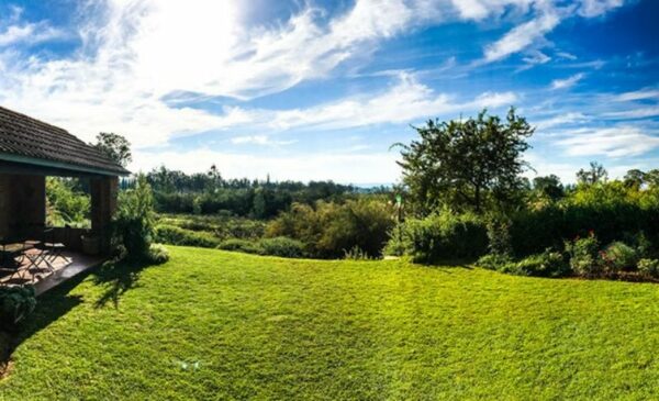 Relax with a one-night B&B stay for two people at Gerald's Gift - Image 4