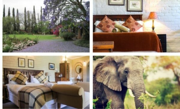 Relax with a one-night B&B stay for two people at Gerald's Gift - Image 7