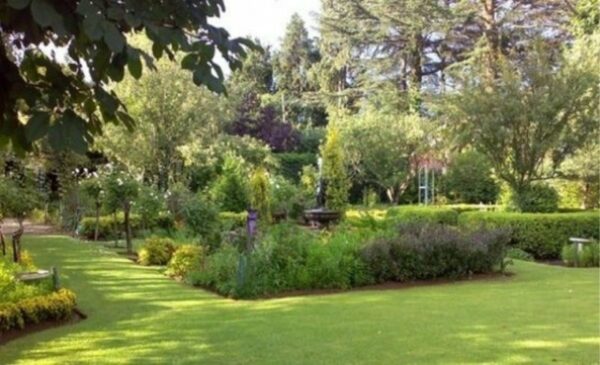A Charming 2-Night Countryside Stay in Dullstroom - Image 2