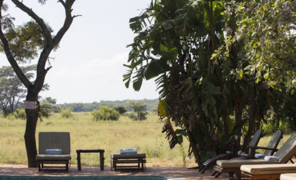 A picturesque one-night stay in the African bush for 2 people - Image 9