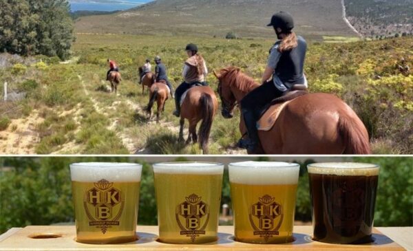 Country rides on horseback including a beer tasting