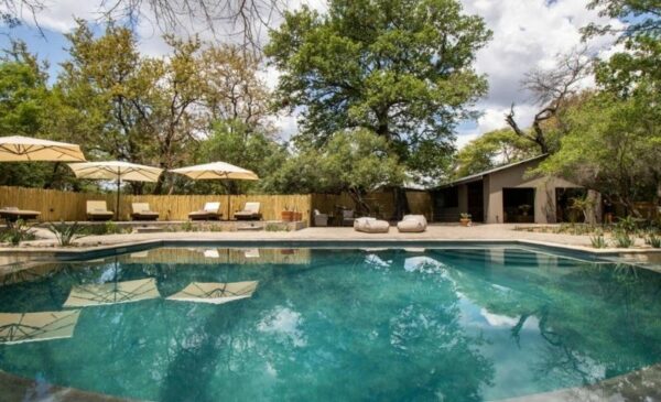Enjoy the Beauty of the Bushveld With an All-Inclusive 2 Night Stay for 2 - Image 5