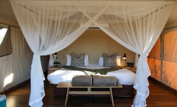 A DB&B tented experience in Kruger National Park - Image 2