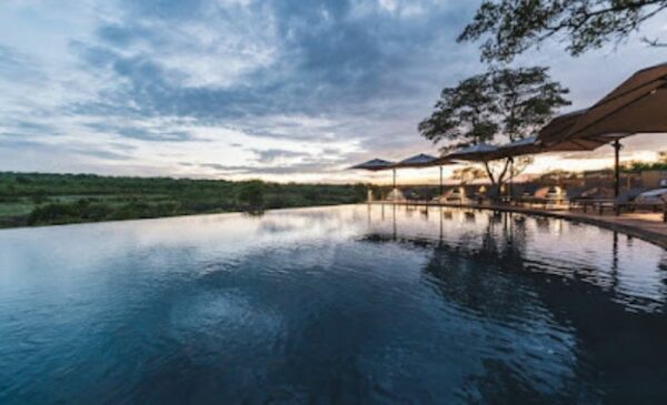 A DB&B tented experience in Kruger National Park - Image 3