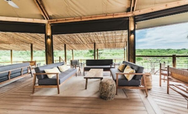 A DB&B tented experience in Kruger National Park - Image 4