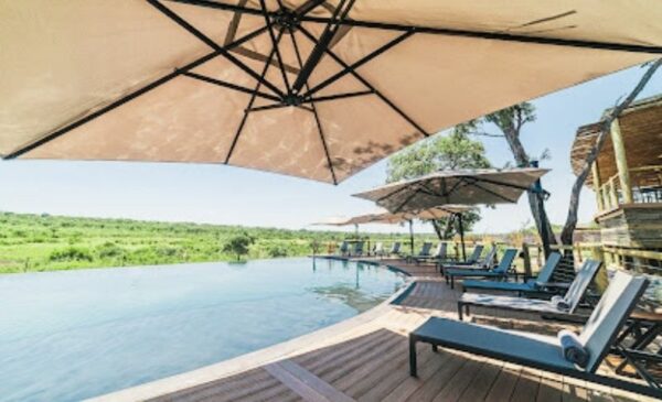 A DB&B tented experience in Kruger National Park - Image 5