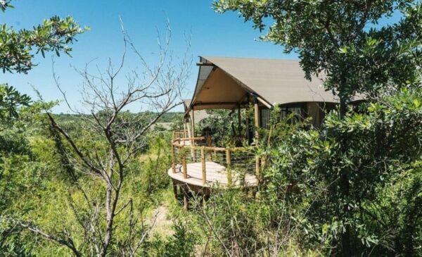 A DB&B tented experience in Kruger National Park - Image 6
