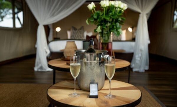 A DB&B tented experience in Kruger National Park - Image 7