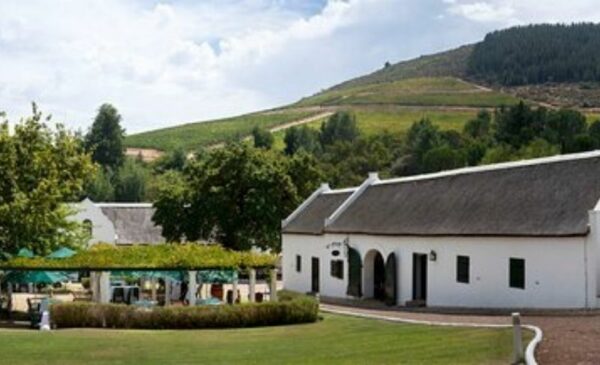 A VIP Picnic Experience for 2 at Morgenhof Wine Estate - Image 2