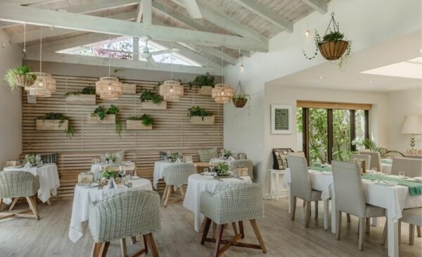A beach cottage-style stay along the Garden Route - Image 3