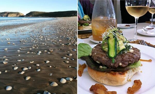 A beach cottage-style stay along the Garden Route - Image 4
