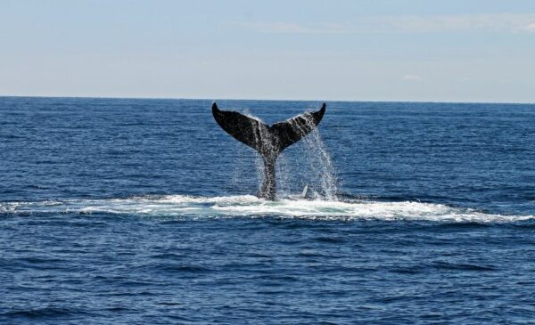 A B&B stay for 2 with sea views - Image 5