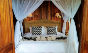 2 night stay at Shayamoya Game Lodge and Tiger Fishing