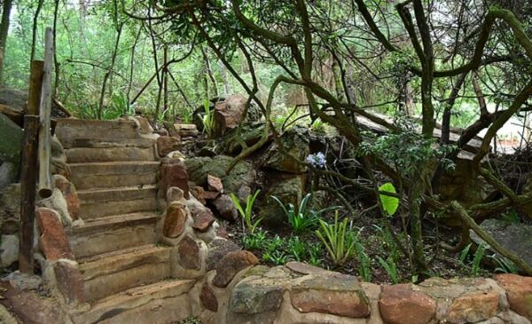 Inviting all nature lovers to this 2-night retreat - Image 7