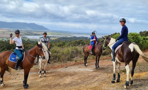 Country rides on horseback including a beer tasting - Image 7