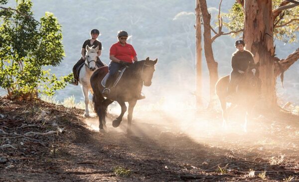 Country rides on horseback including a beer tasting - Image 3