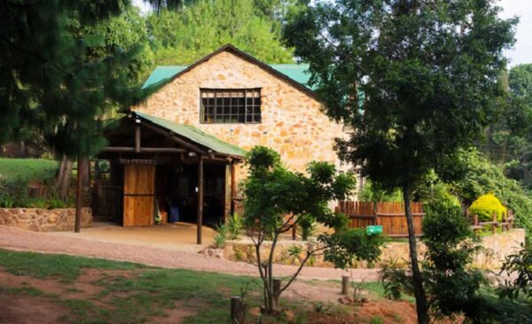 Mpumalanga: A quaint 2-night stay for up to 4 loved ones - Image 7
