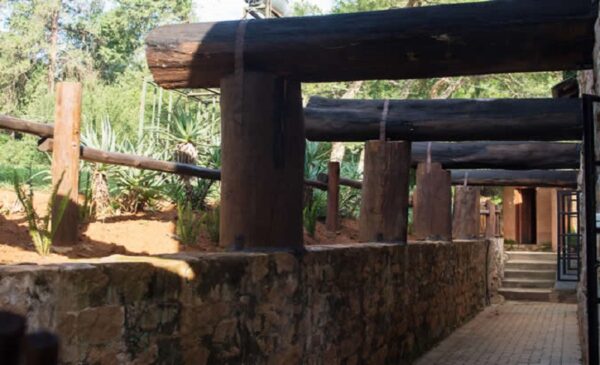 Mpumalanga: A quaint 2-night stay for up to 4 loved ones - Image 9