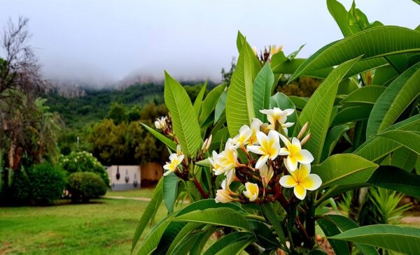 A 1-Night Stay with Breakfast and Massage in Magalies - Image 6