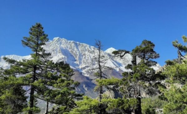 Experience The Wonders of Nepal With a 15 Day Manaslu Circuit Trek - Image 3