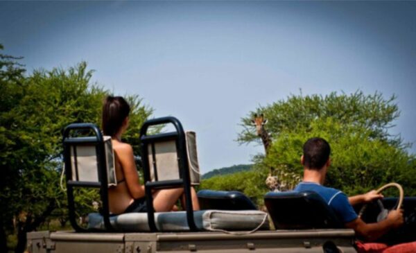 A family retreat in the Waterberg region - Image 9