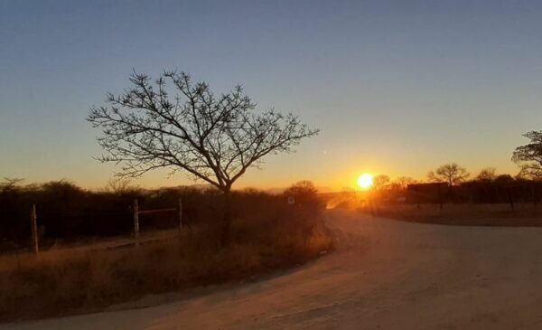 A bush retreat for 2 in Hoedspruit - Image 3